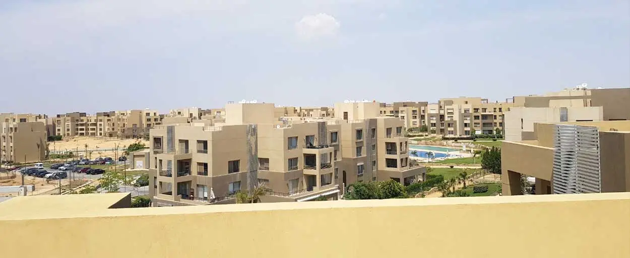 Palm Parks | Penthouse