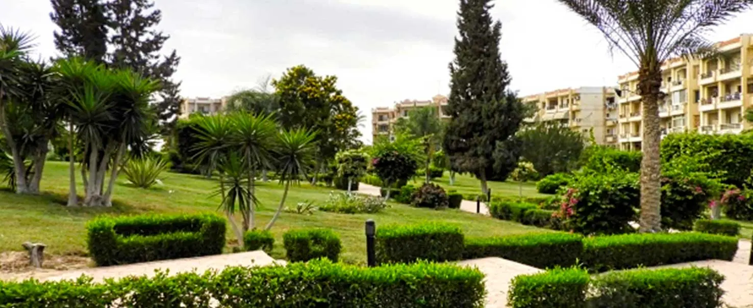 Zayed 2000 | Villa