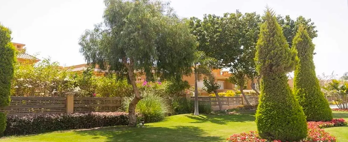 Jeera | Twin-house