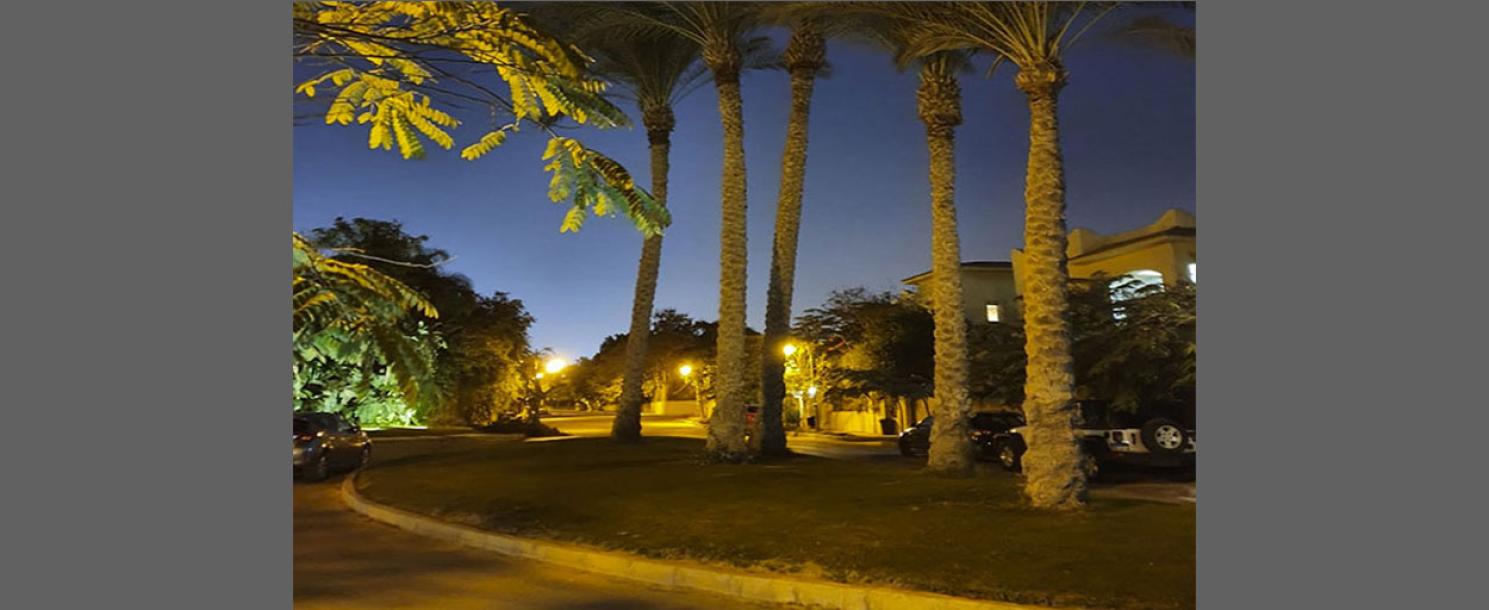 EL Guzeira | Villa
