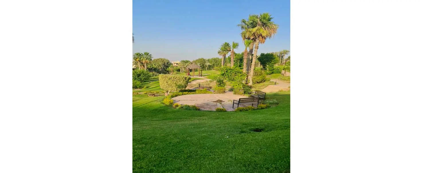 El Sheikh Zayed | Apartment