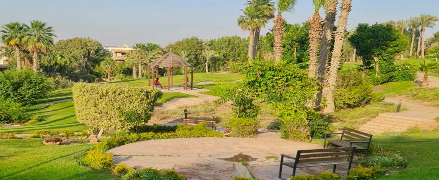 El Sheikh Zayed | Apartment