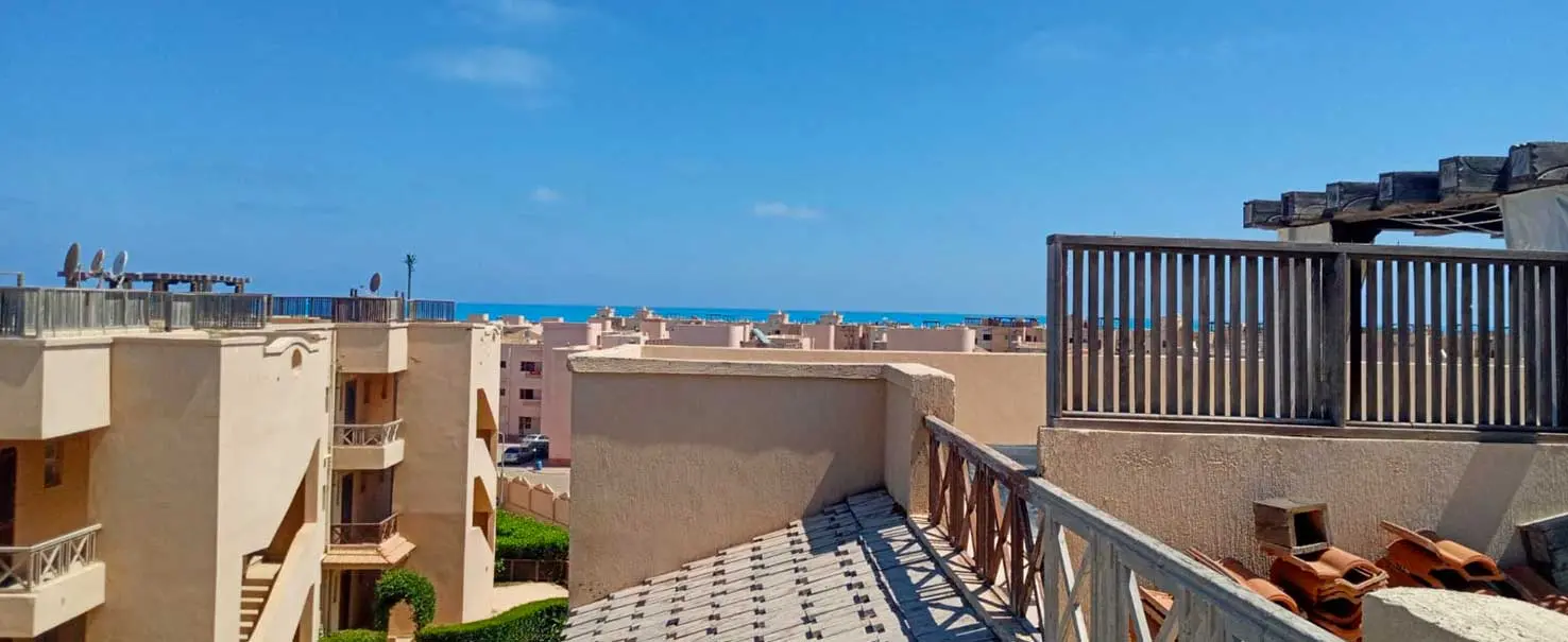 neis | Penthouse