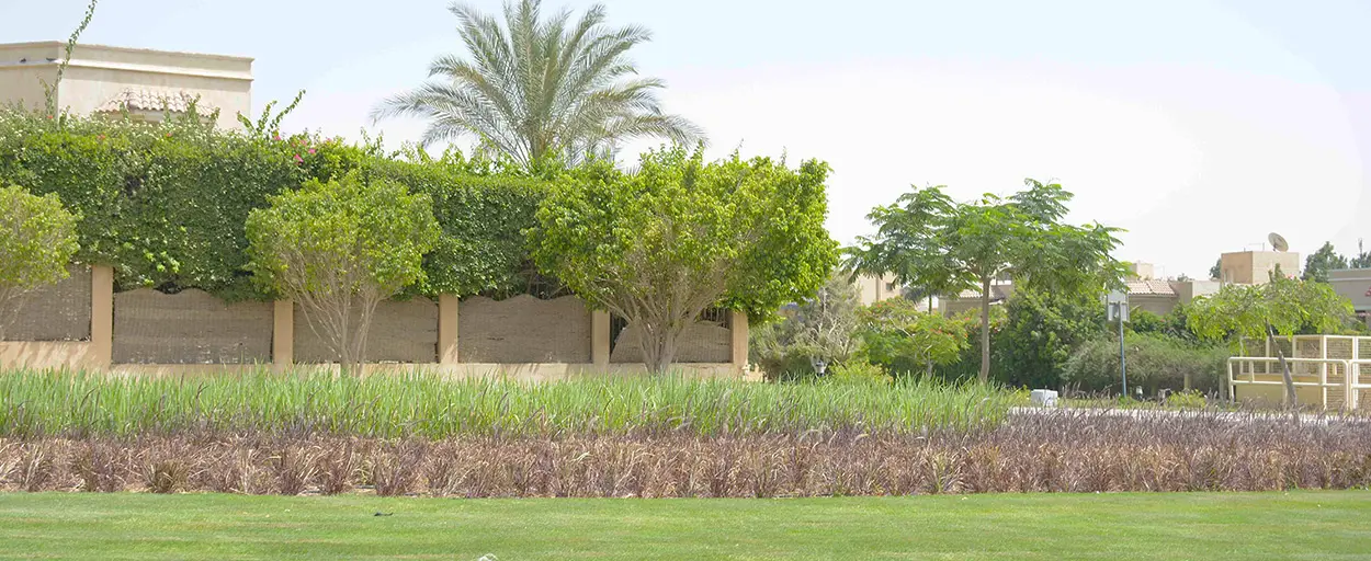 Westown Residential | شقة