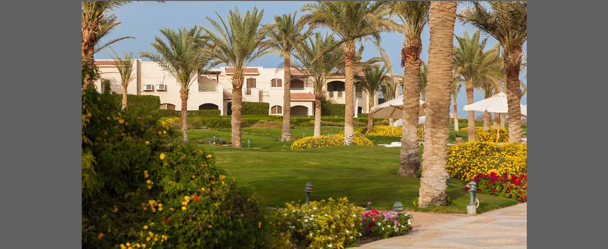 Palm Hills Bamboo | Ground Floor
