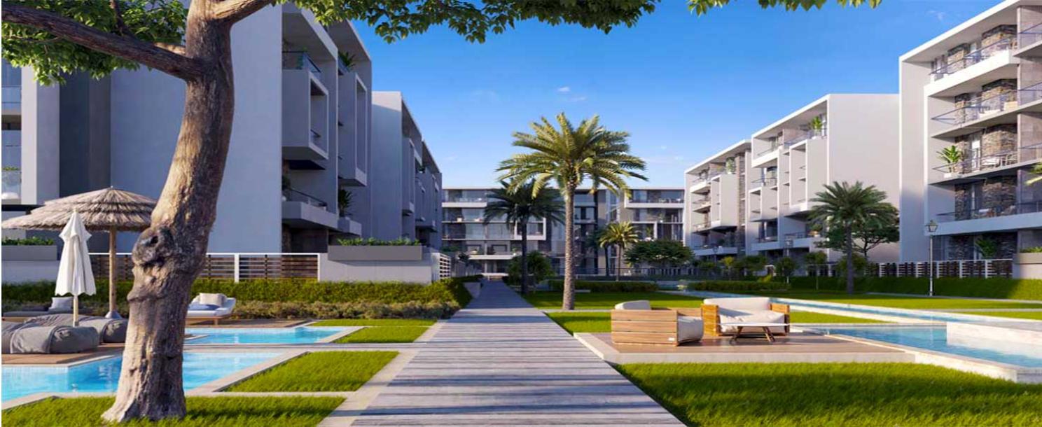 El Patio Oro | Apartment