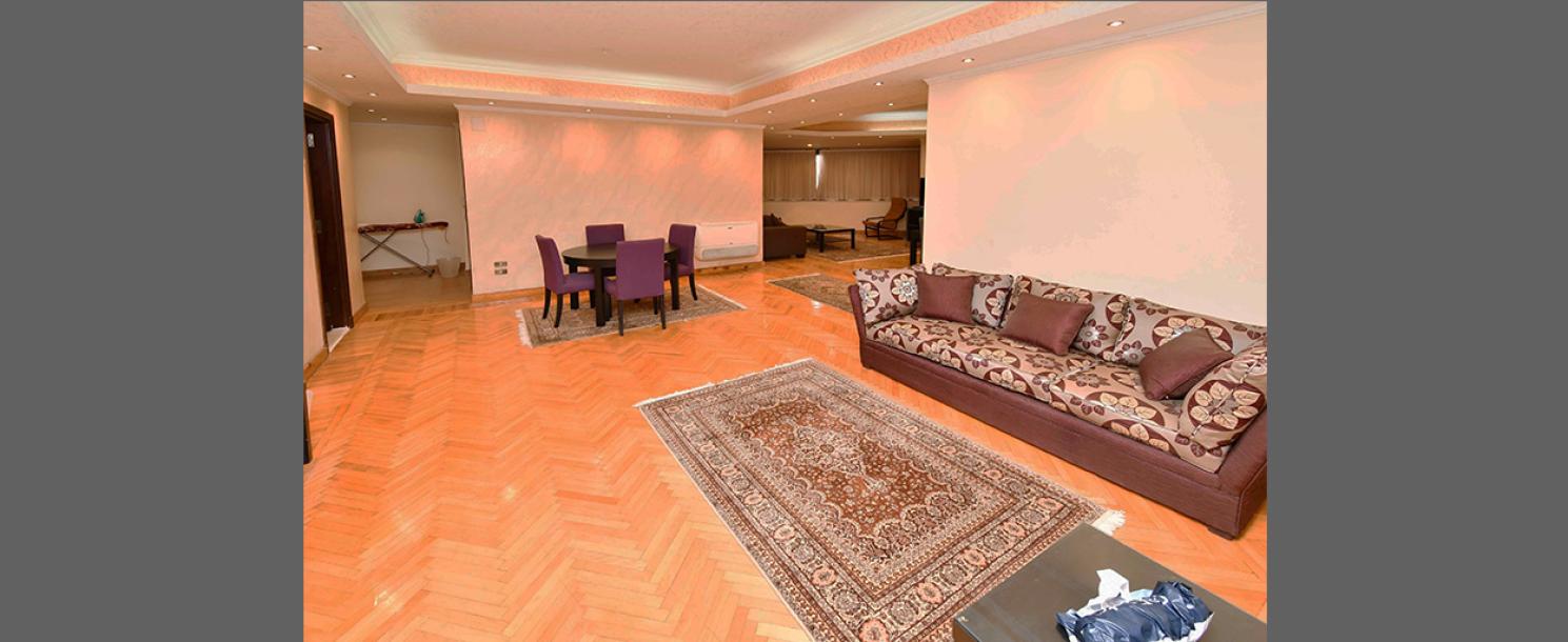 North Zamalek | Apartment
