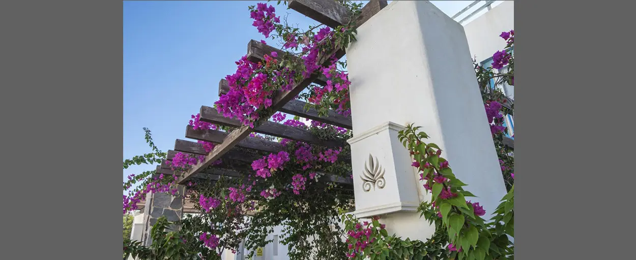 Mountain View Ras El Hekma | شاليه