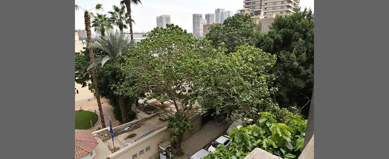North Zamalek | Apartment