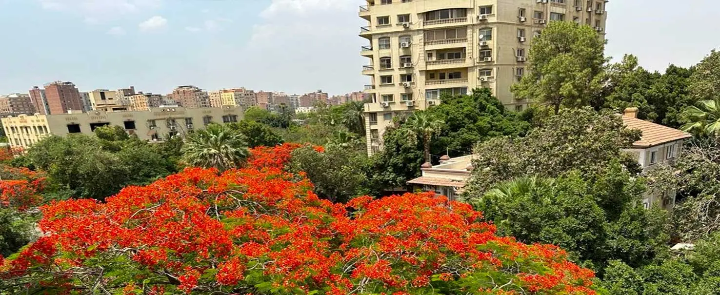 Sarayat | Apartment