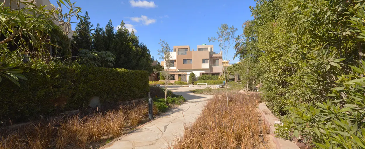 Allegria | Townhouse