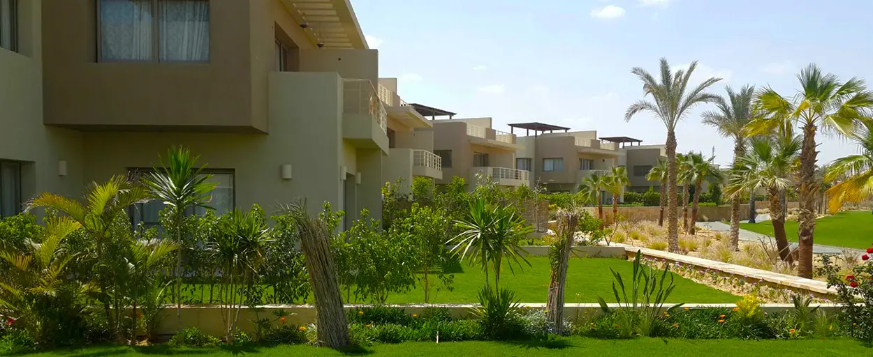 North Zamalek | Apartment