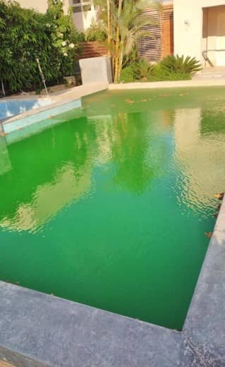 Hacienda Bay - The Lemon Tree | Villa