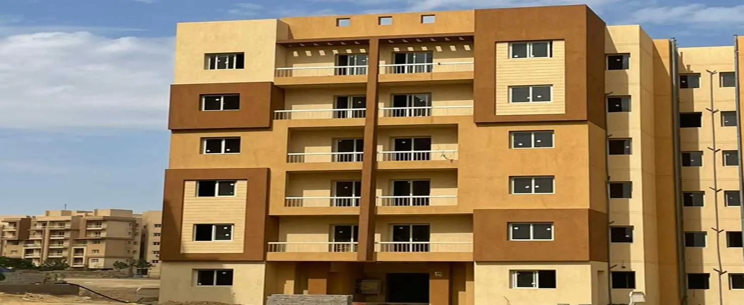 اشجار هايتس | كنة