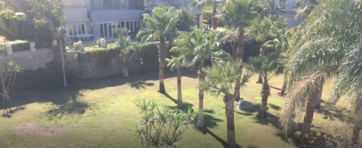 Palm Hills Bamboo | بنتهاوس
