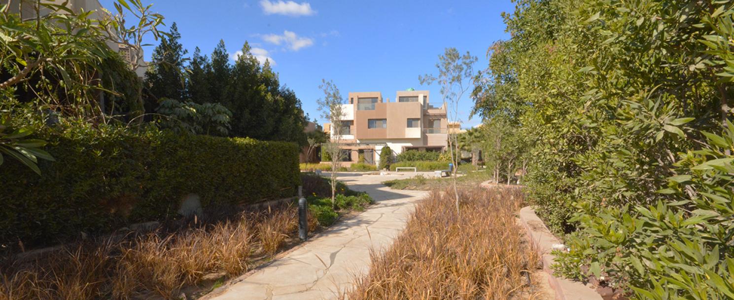Allegria | Townhouse
