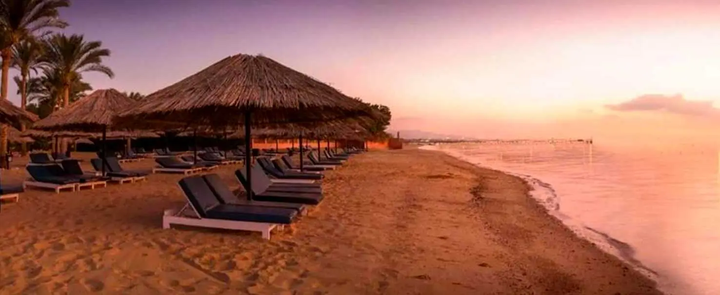 Palmera beach | Chalet