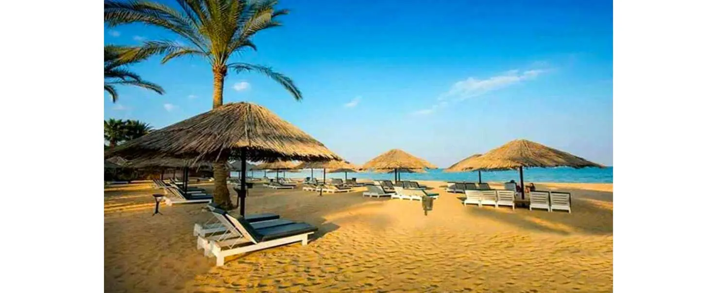 Palmera beach | Chalet