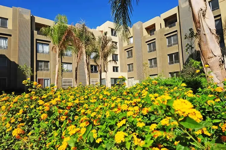 Palm Parks | شقة