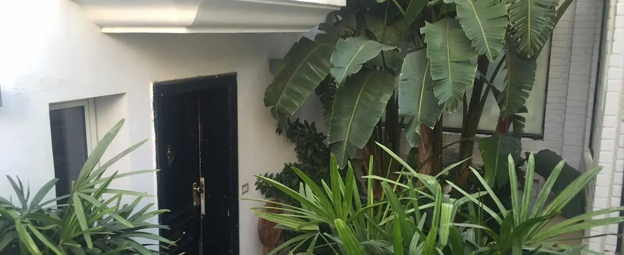 South Zamalek | استوديو