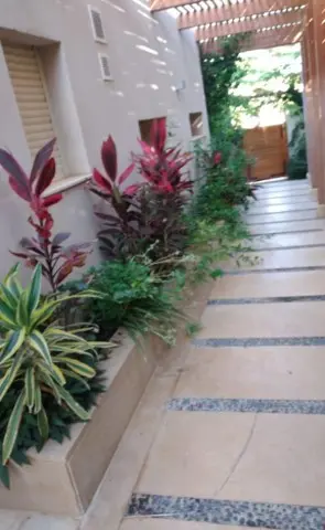 Hacienda Bay - The Lemon Tree | فيلا