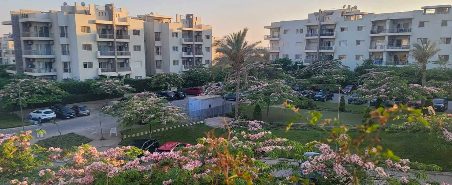 The Address | Apartment