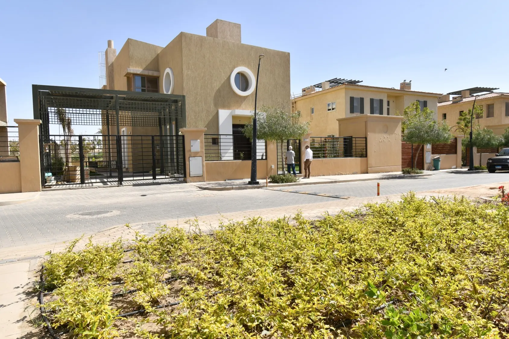 Allegria | Townhouse