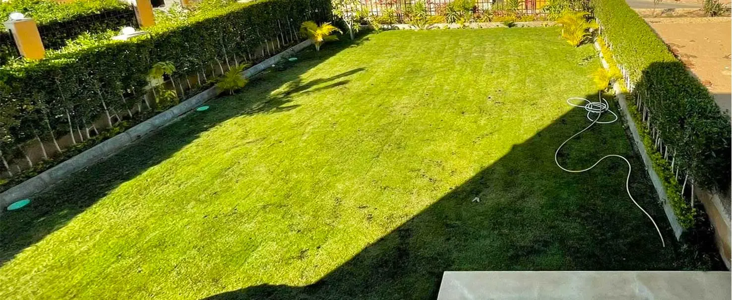 رويال ميدوز | توين هاوس