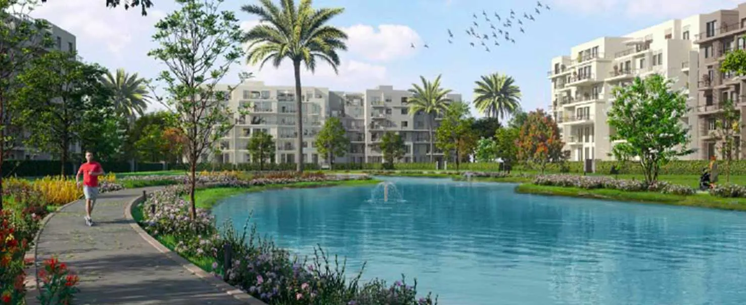 Owest- October | Apartment