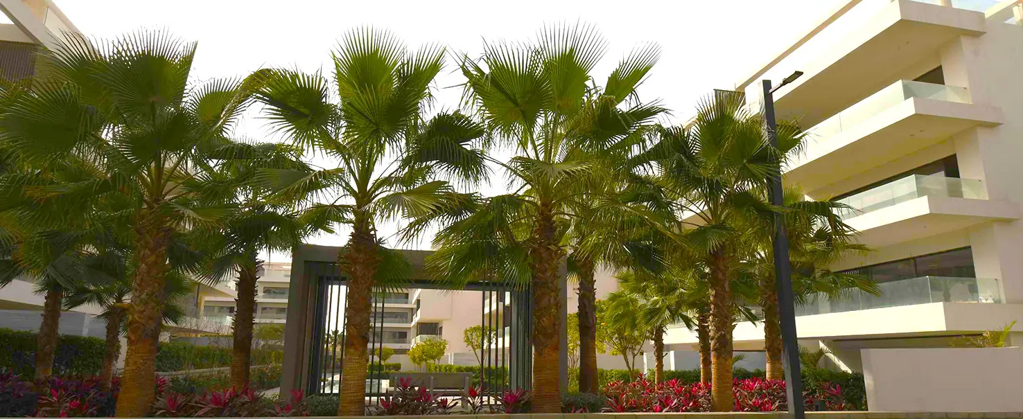 Lake View | Apartment