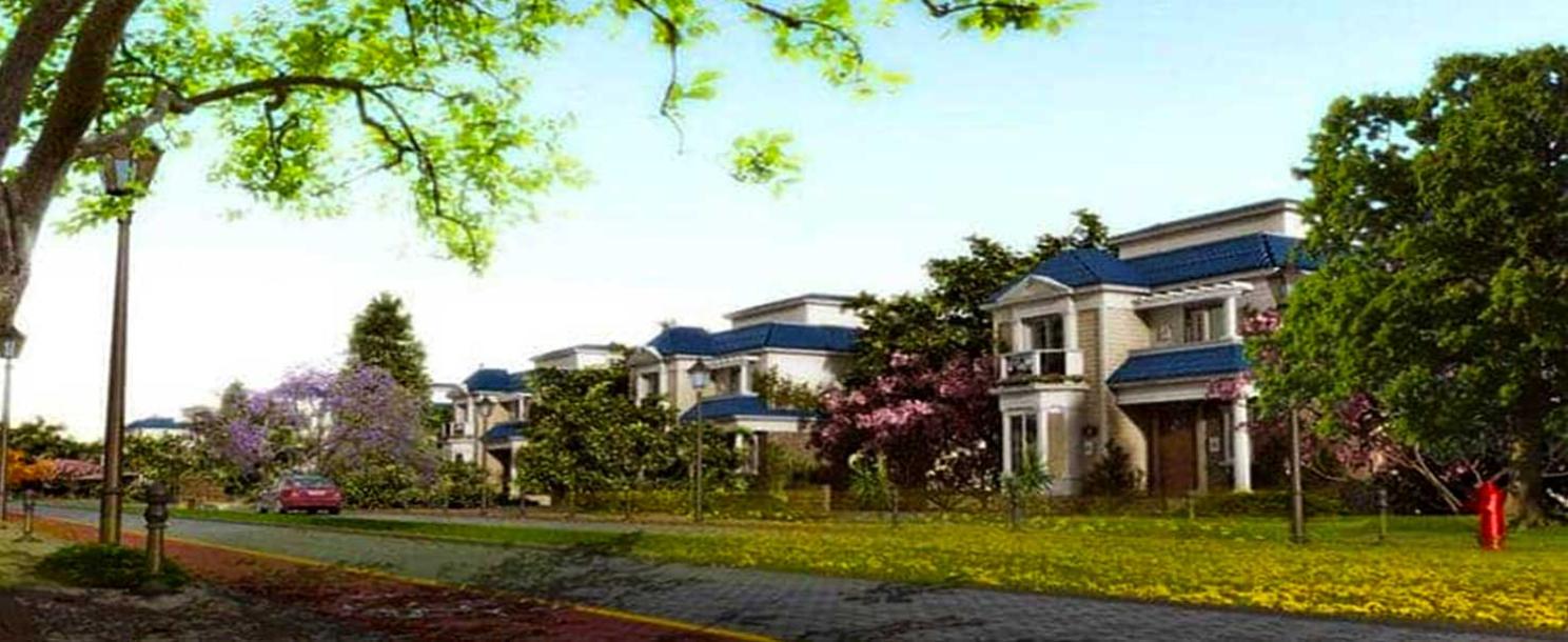 Mountain View Chill Out Park | I-Villa