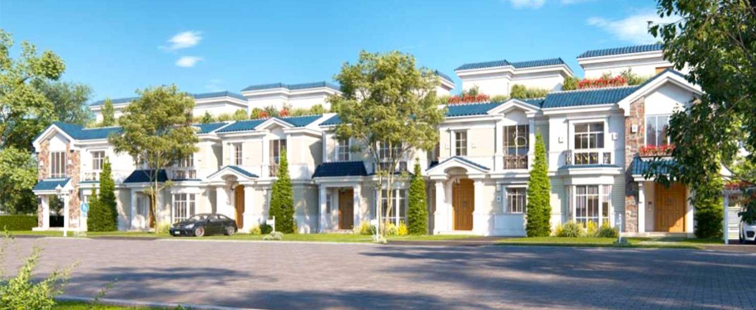 Mounatin Park October | Townhouse