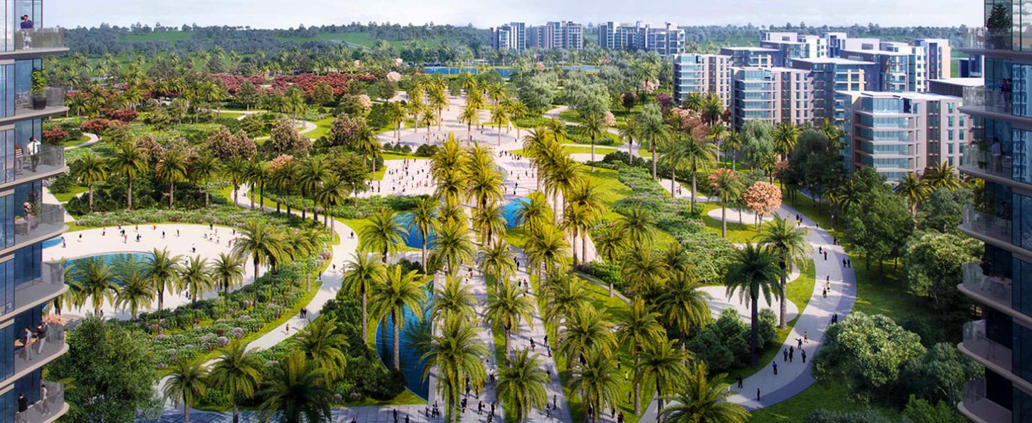 Zed West | Apartment