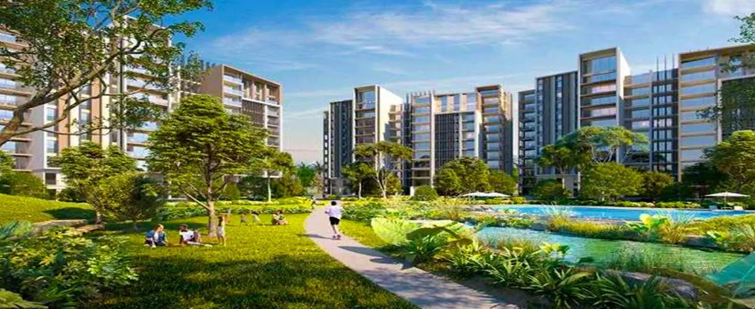 Zed East | Apartment