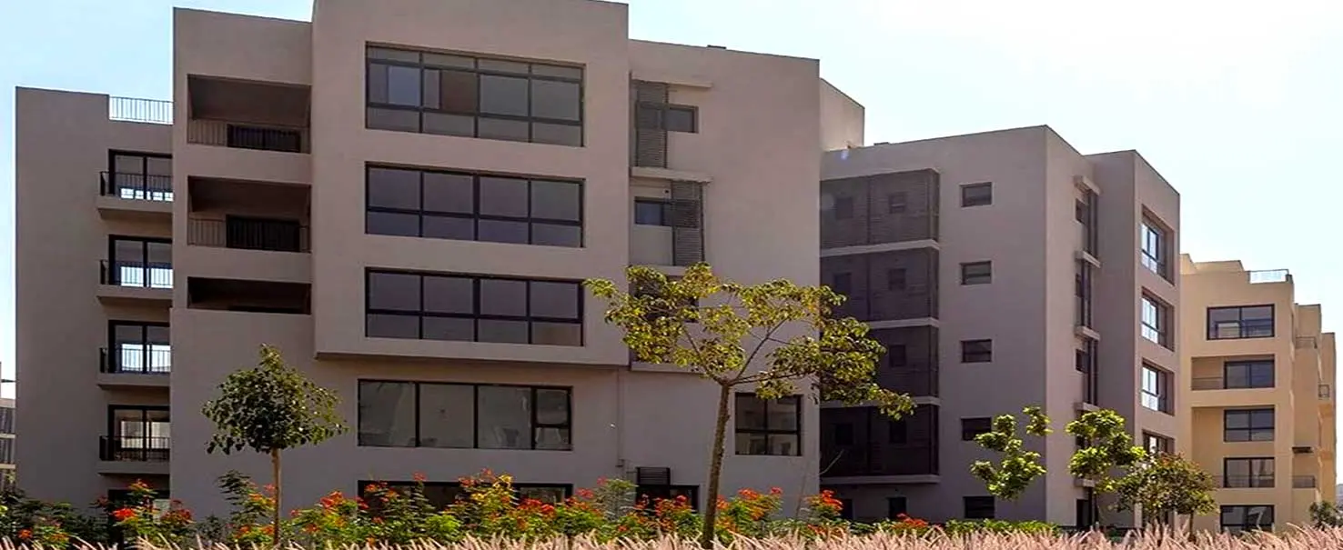 Zed West | Apartment