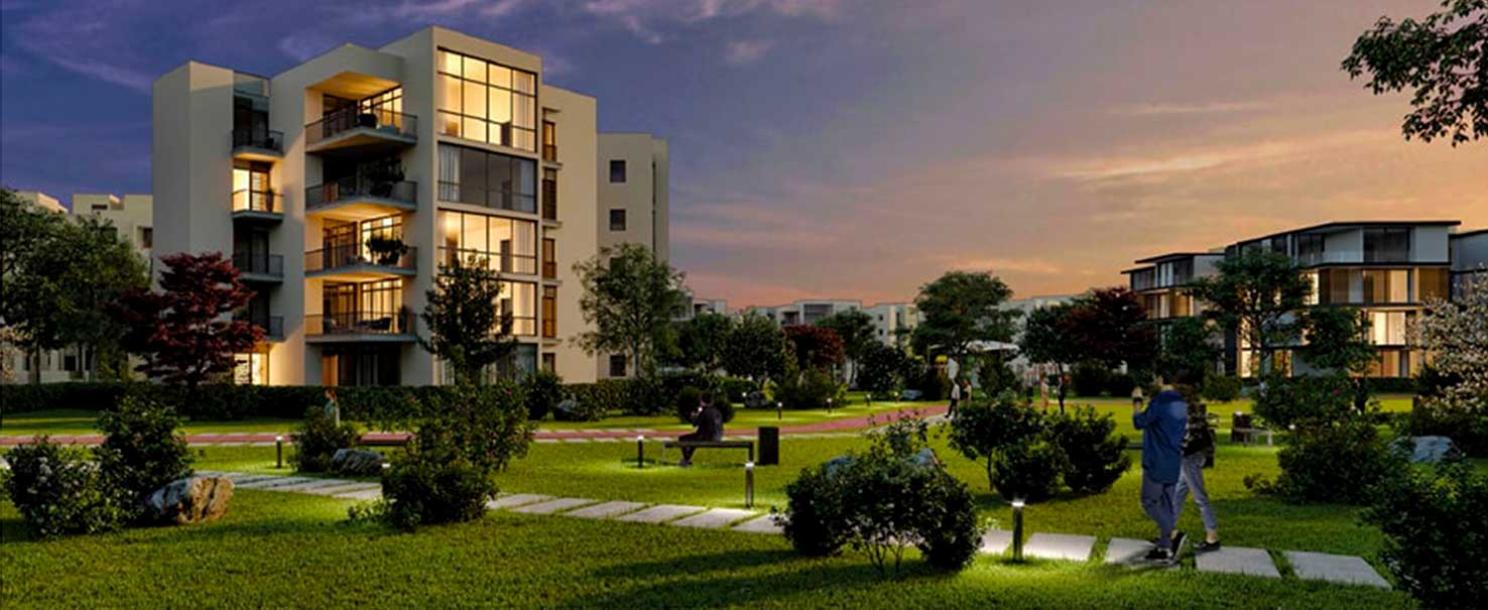 Zed West | Apartment