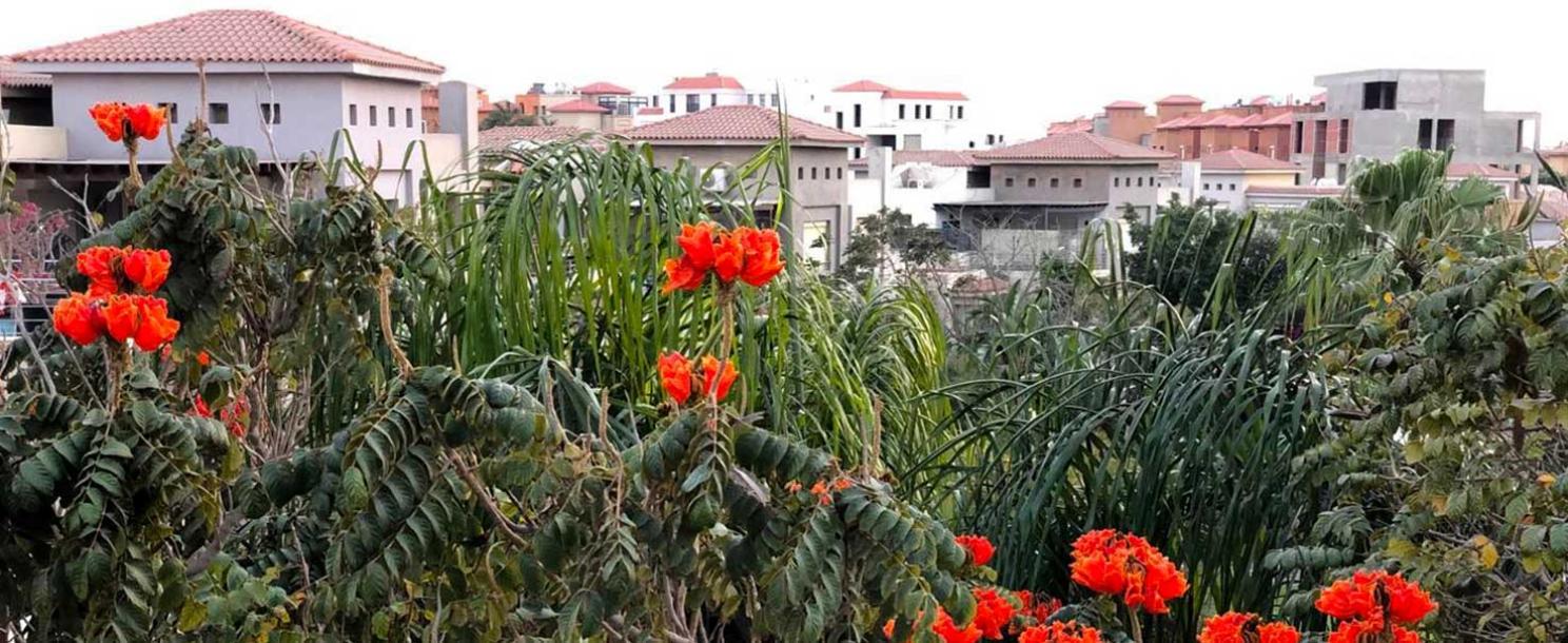 Palm Hills Bamboo | Duplex