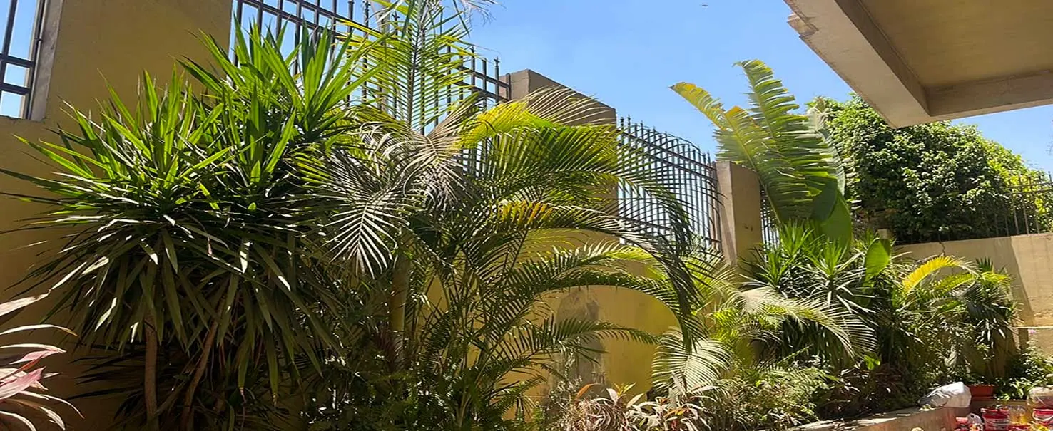 3rd Settlement | Apartment