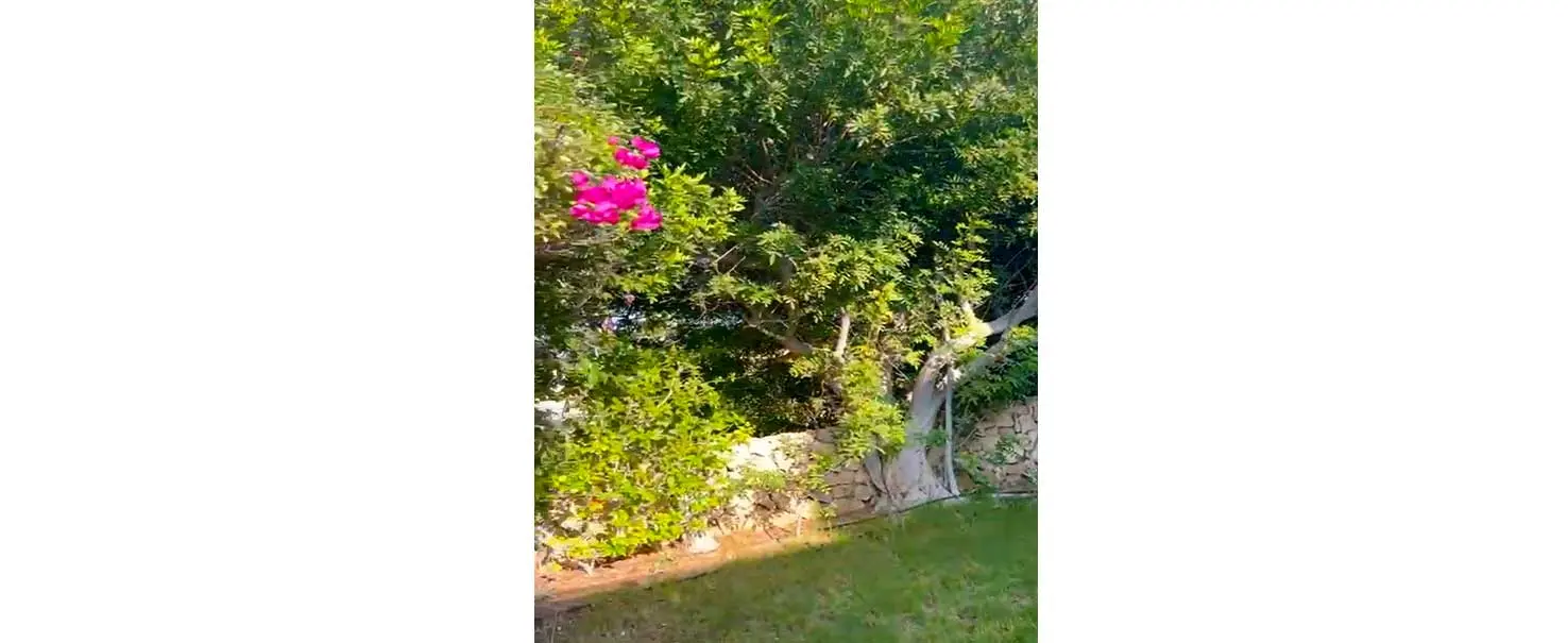 Costa Del Sol | Villa