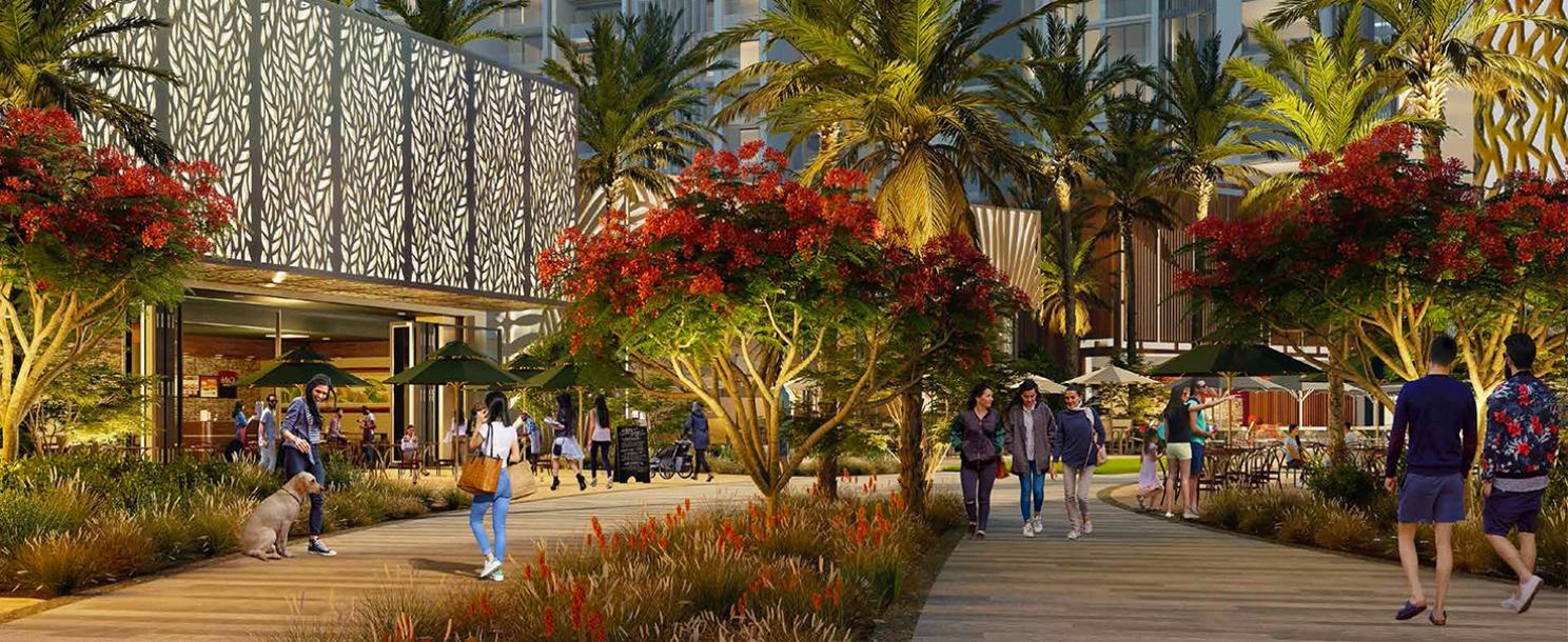 Zed West | Apartment