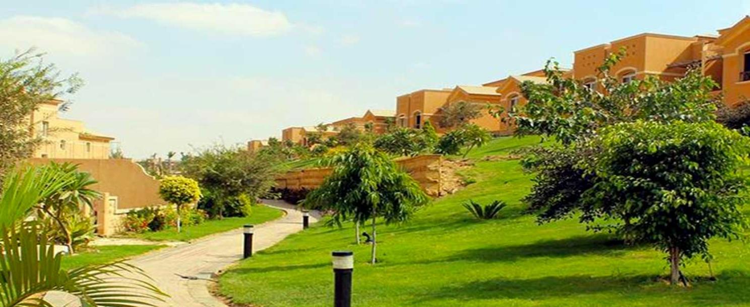 Dyar Park | Townhouse