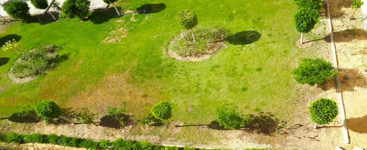 النرجس | شقة