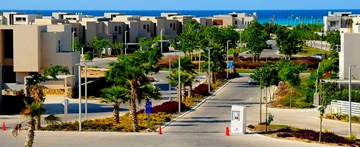 Hacienda Bay - The Lemon Tree | Chalet