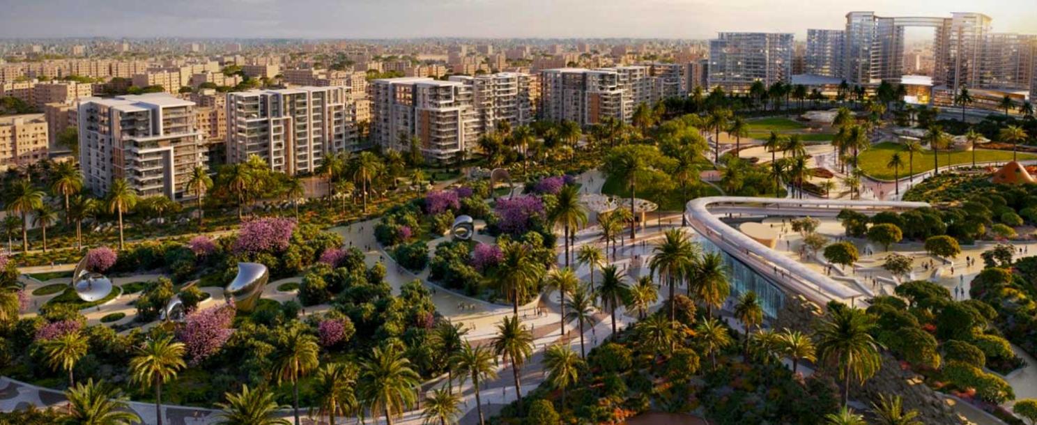 Zed West | Apartment