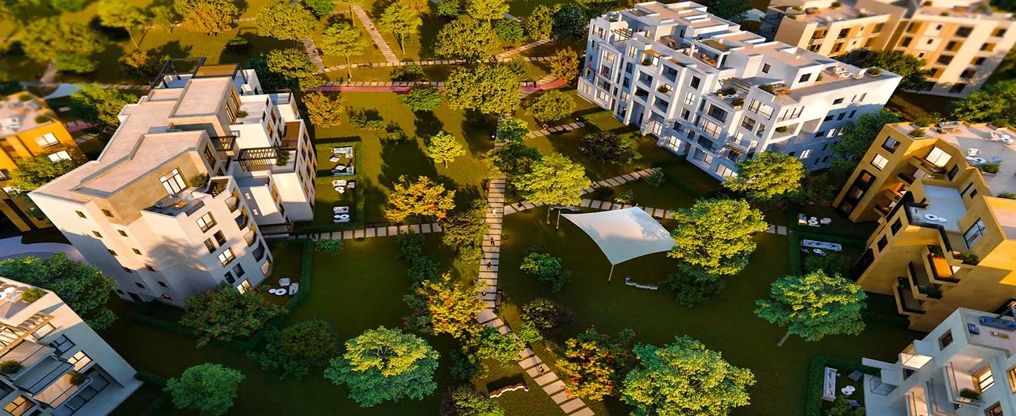 Owest- October | Apartment