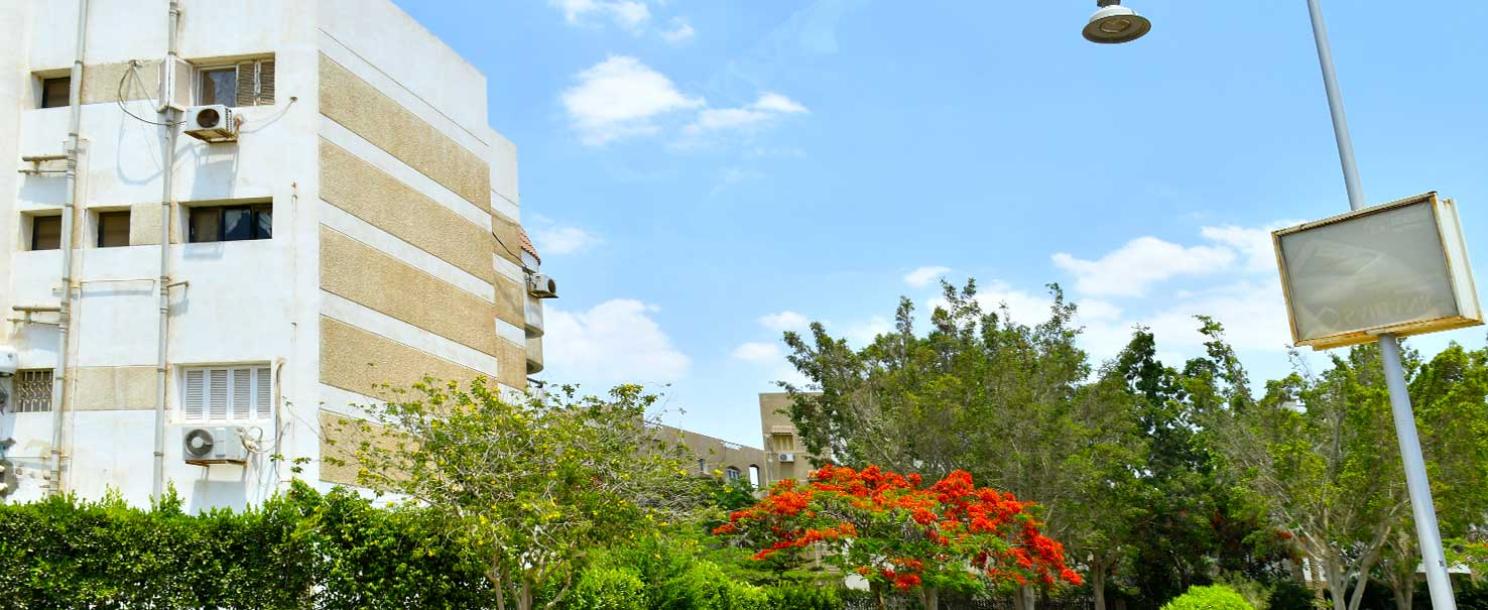 Beverly Hills | Apartment