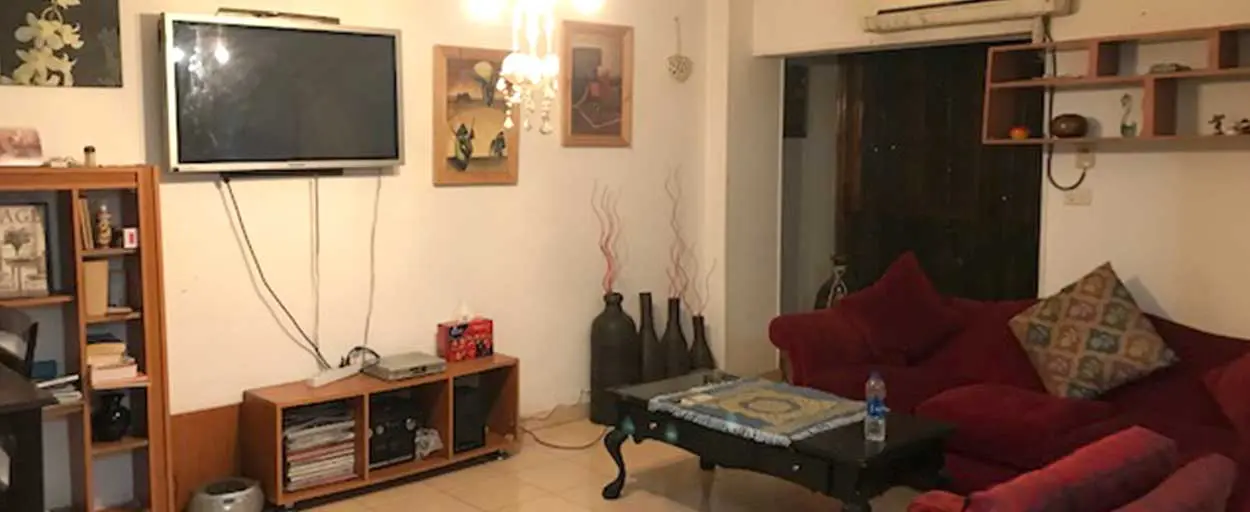 North Zamalek | Apartment