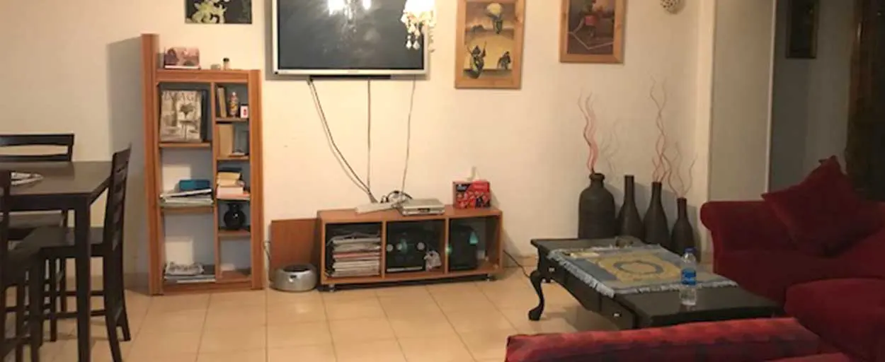 North Zamalek | Apartment