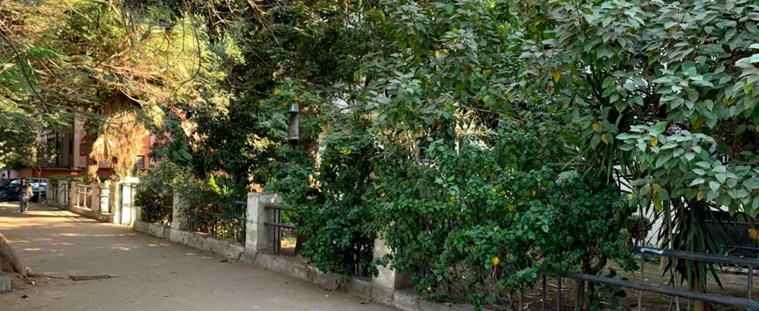 South Zamalek | Ground Floor