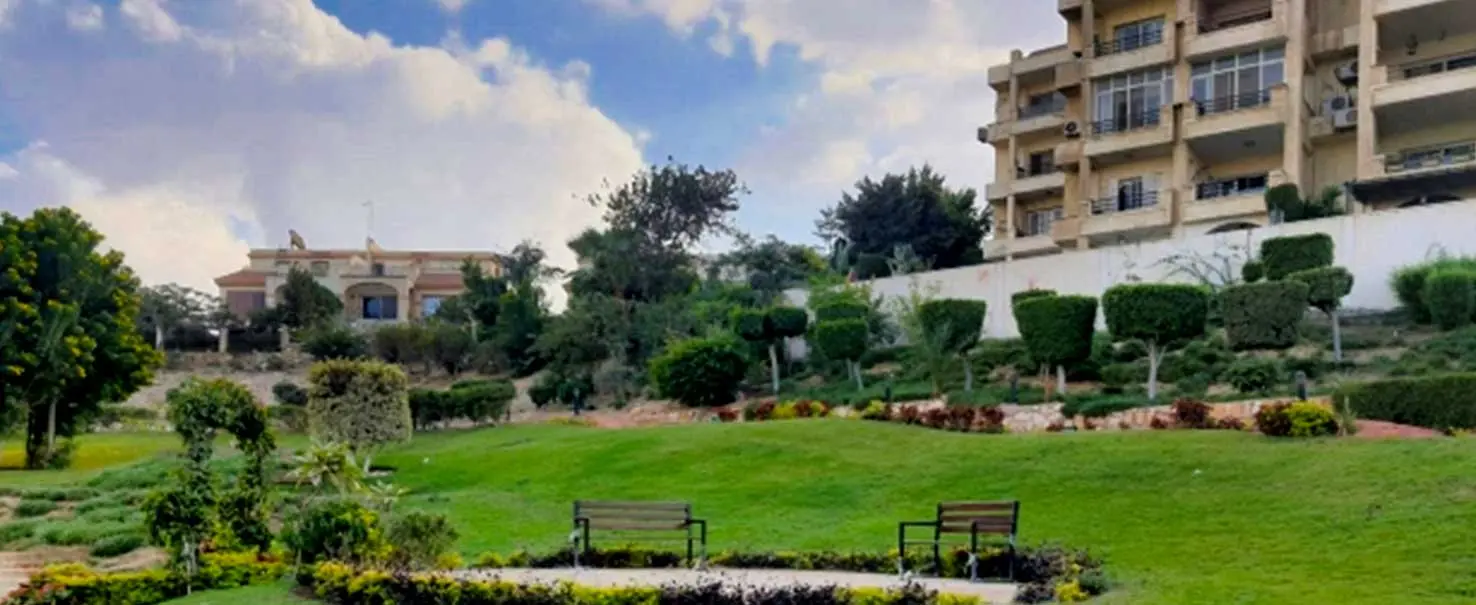 Zayed 2000 | Ground Floor